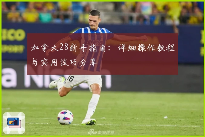 加拿大28新手指南：详细操作教程与实用技巧分享
