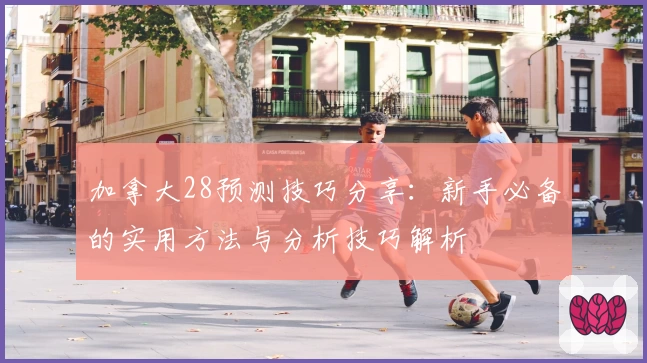 加拿大28预测技巧分享：新手必备的实用方法与分析技巧解析