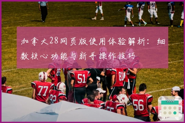 加拿大28网页版使用体验解析：细数核心功能与新手操作技巧