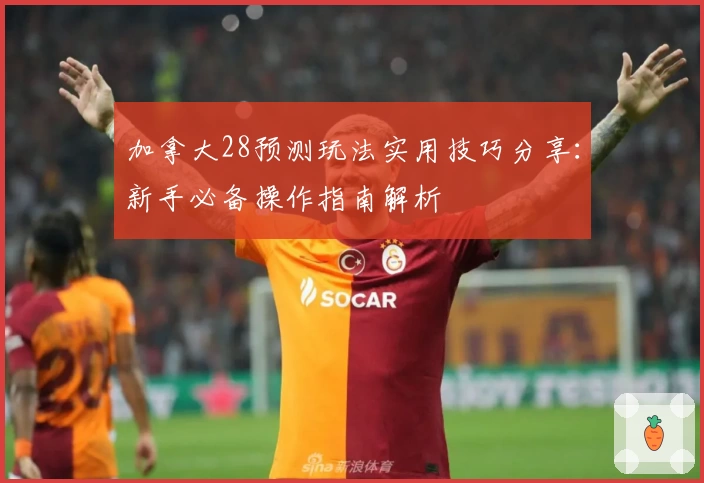 加拿大28预测玩法实用技巧分享：新手必备操作指南解析