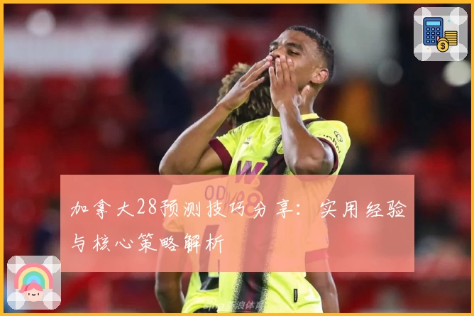 加拿大28预测技巧分享：实用经验与核心策略解析