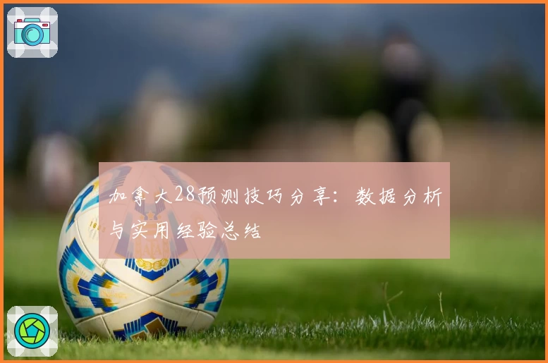加拿大28预测技巧分享：数据分析与实用经验总结