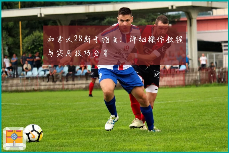 加拿大28新手指南：详细操作教程与实用技巧分享