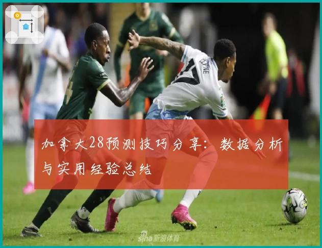 加拿大28预测技巧分享：数据分析与实用经验总结