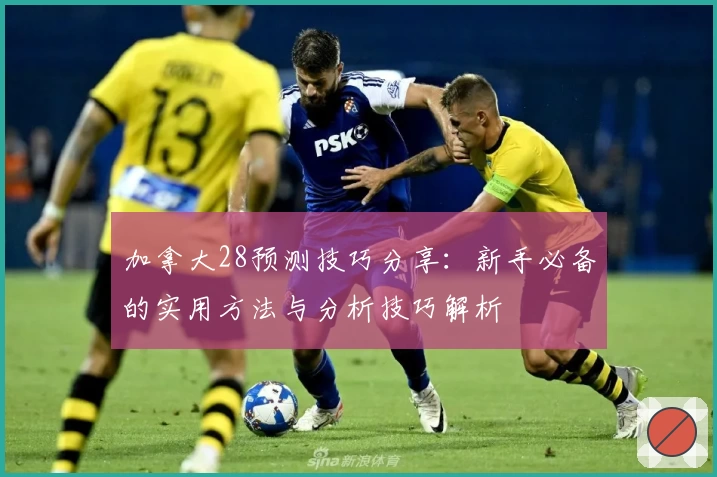 加拿大28预测技巧分享：新手必备的实用方法与分析技巧解析