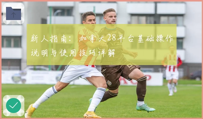 新人指南：加拿大28平台基础操作说明与使用技巧详解