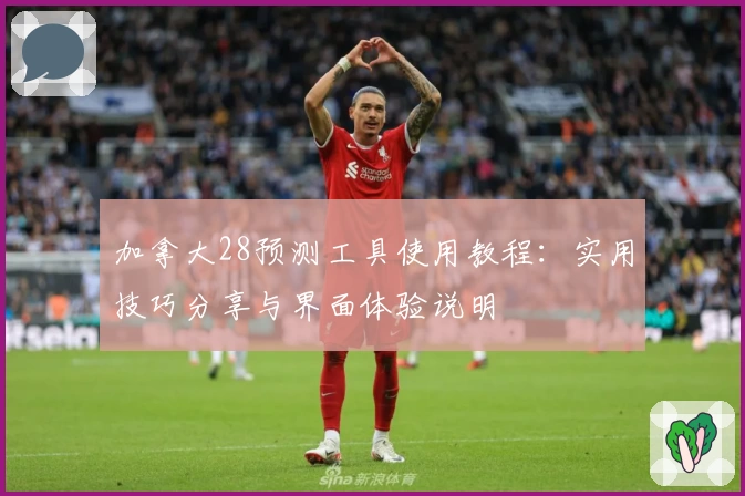 加拿大28预测工具使用教程：实用技巧分享与界面体验说明